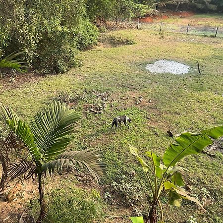 Hostelexp, Gokarna - A Slow-Paced Backpackers Community Екстер'єр фото